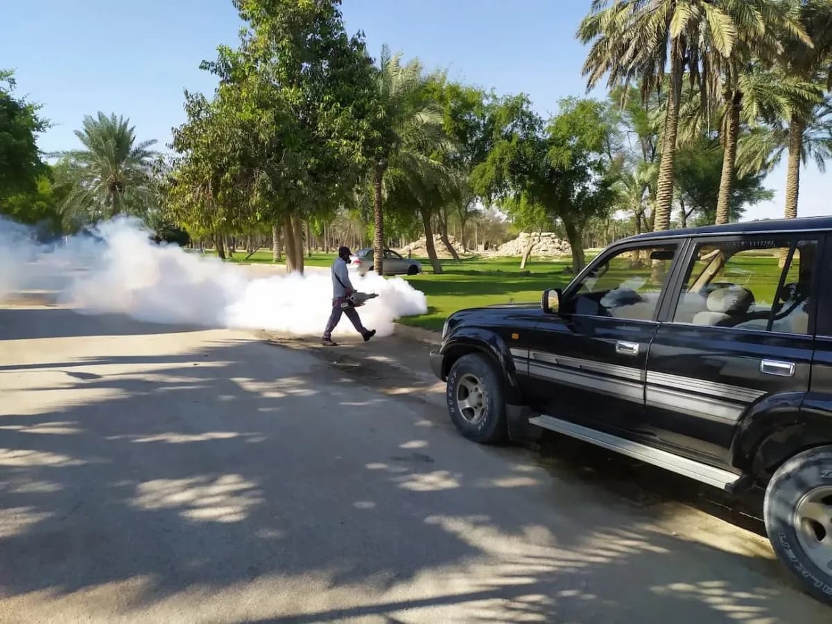 فني يقوم بالتضبيب في مساحة خارجية بين الأشجار، والضباب يمتد فوق الطريق